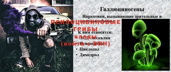 спиды Алексин