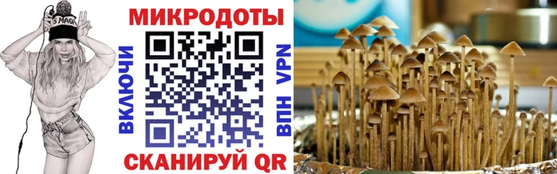 Галлюциногенные грибы мухоморы  Приволжск 